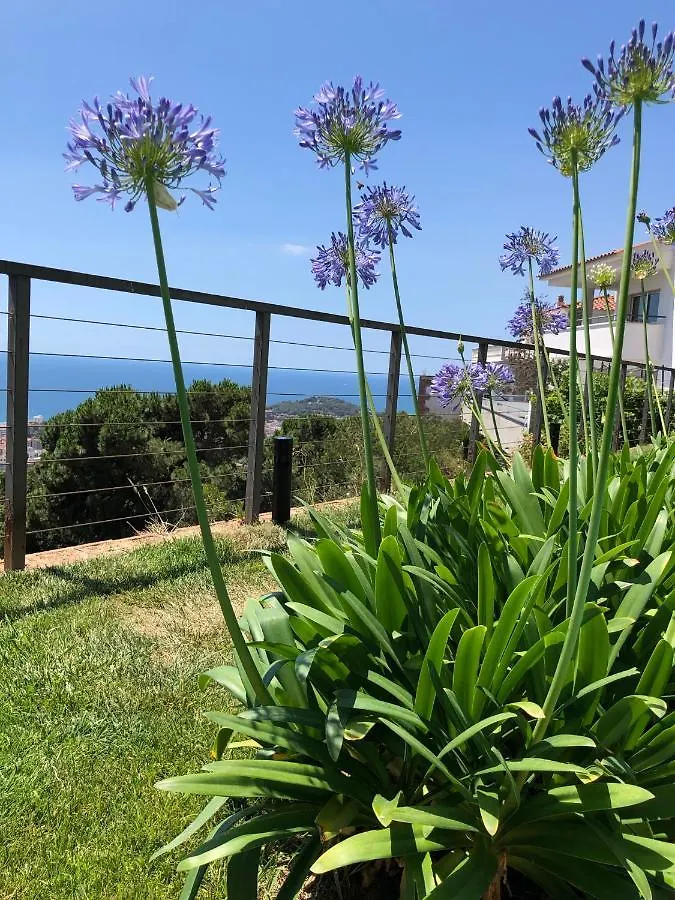 Villa Oasis Costa Brava Lloret de Mar